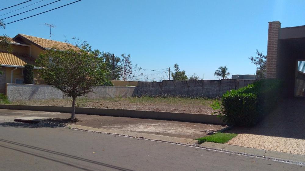 Comprar Terreno / Condom&iacute;nio em Bonfim Paulista R$ 260.000,00 - Foto 2