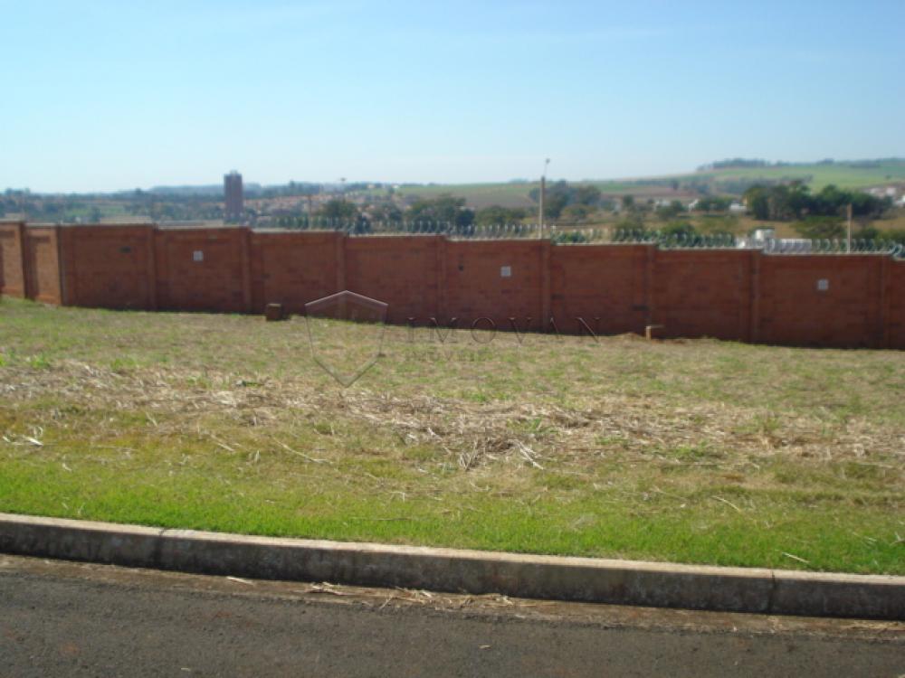 Comprar Terreno / Padr&atilde;o em Bonfim Paulista R$ 230.000,00 - Foto 1