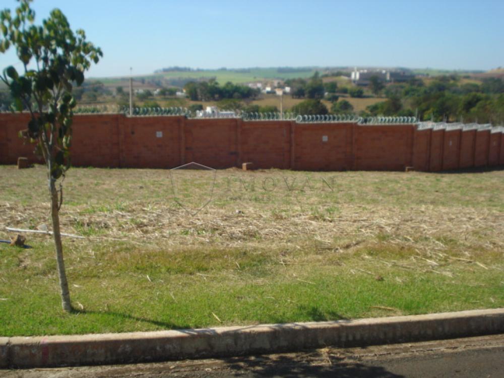 Comprar Terreno / Padr&atilde;o em Bonfim Paulista R$ 230.000,00 - Foto 2