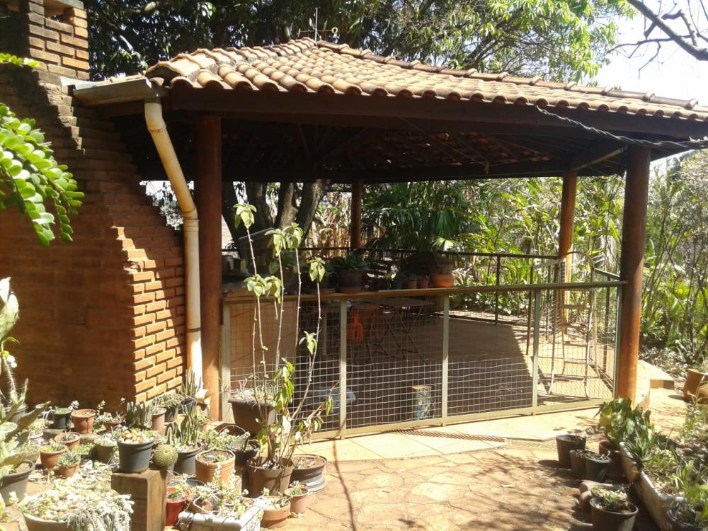 Comprar Rural / Ch&aacute;cara em Ribeir&atilde;o Preto R$ 500.000,00 - Foto 3