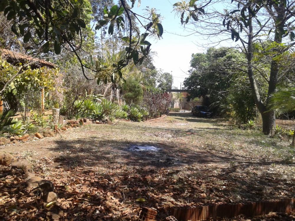 Comprar Rural / Ch&aacute;cara em Ribeir&atilde;o Preto R$ 500.000,00 - Foto 5