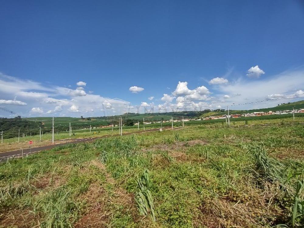 Comprar Terreno / Padr&atilde;o em Ribeir&atilde;o Preto R$ 175.000,00 - Foto 1