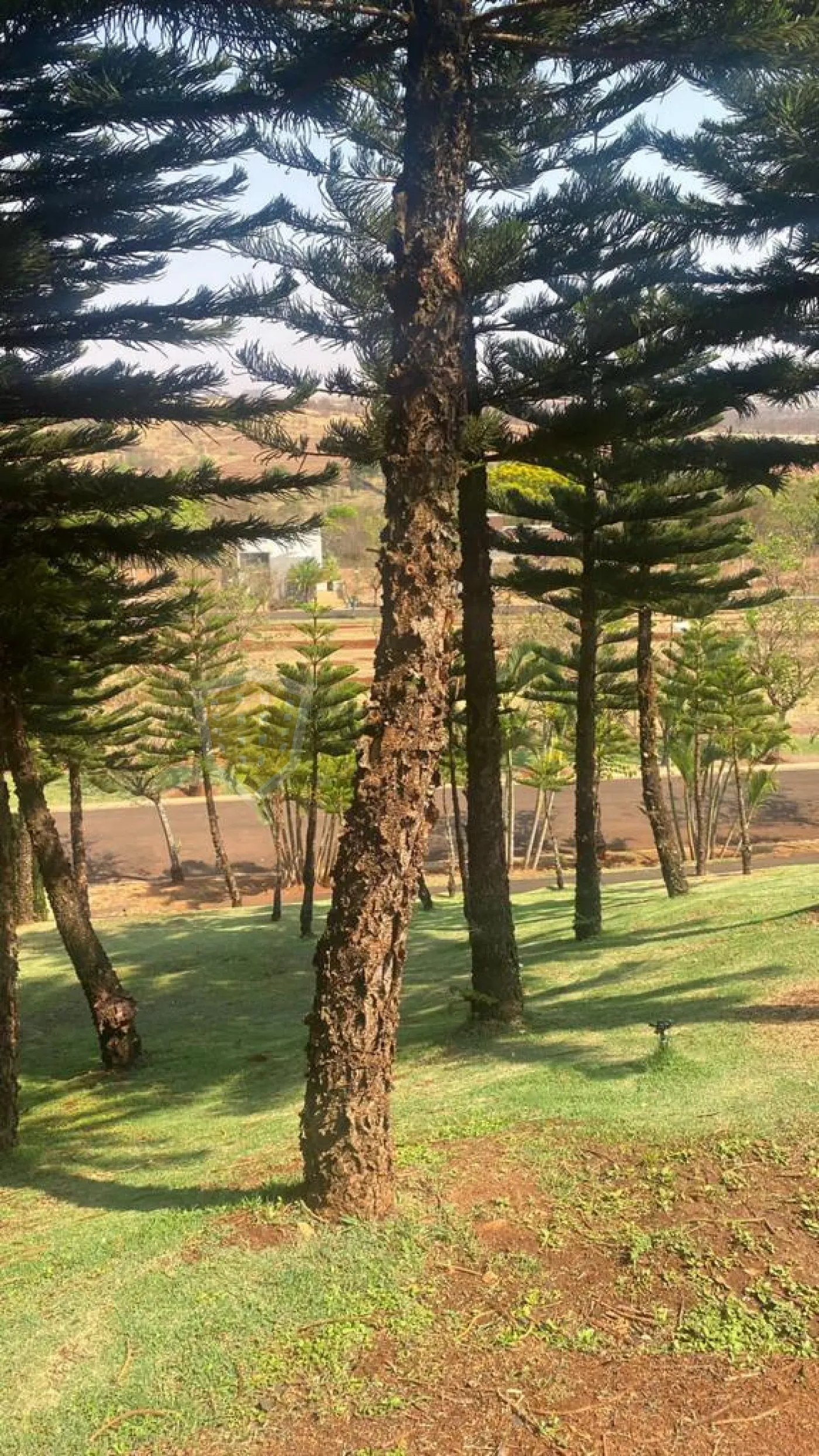 Comprar Terreno / Condom&iacute;nio em Ribeir&atilde;o Preto R$ 1.300.000,00 - Foto 5