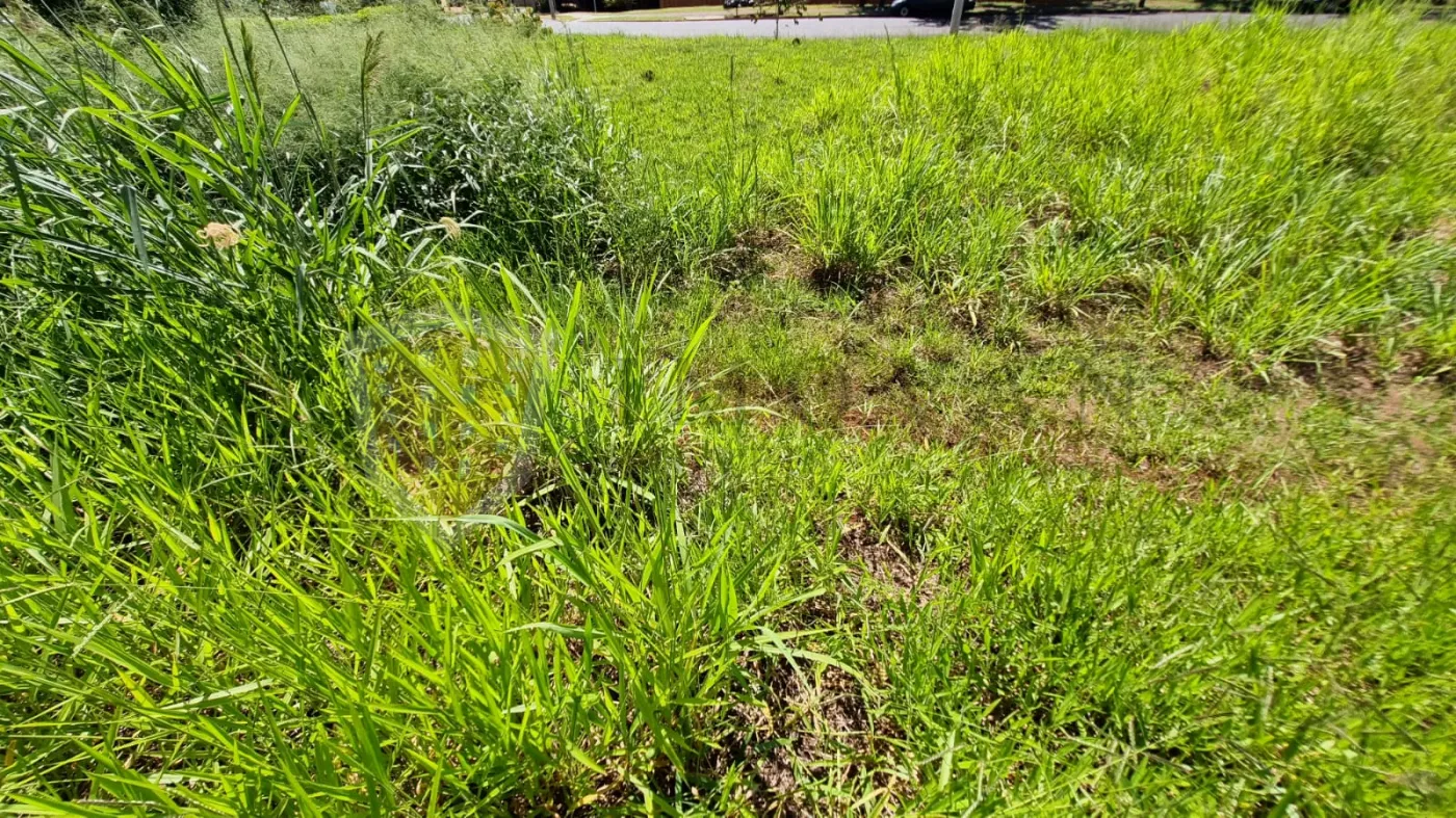 Alugar Terreno / Padr&atilde;o em Bonfim Paulista (Ribeir&atilde;o Preto) R$ 2.200,00 - Foto 5