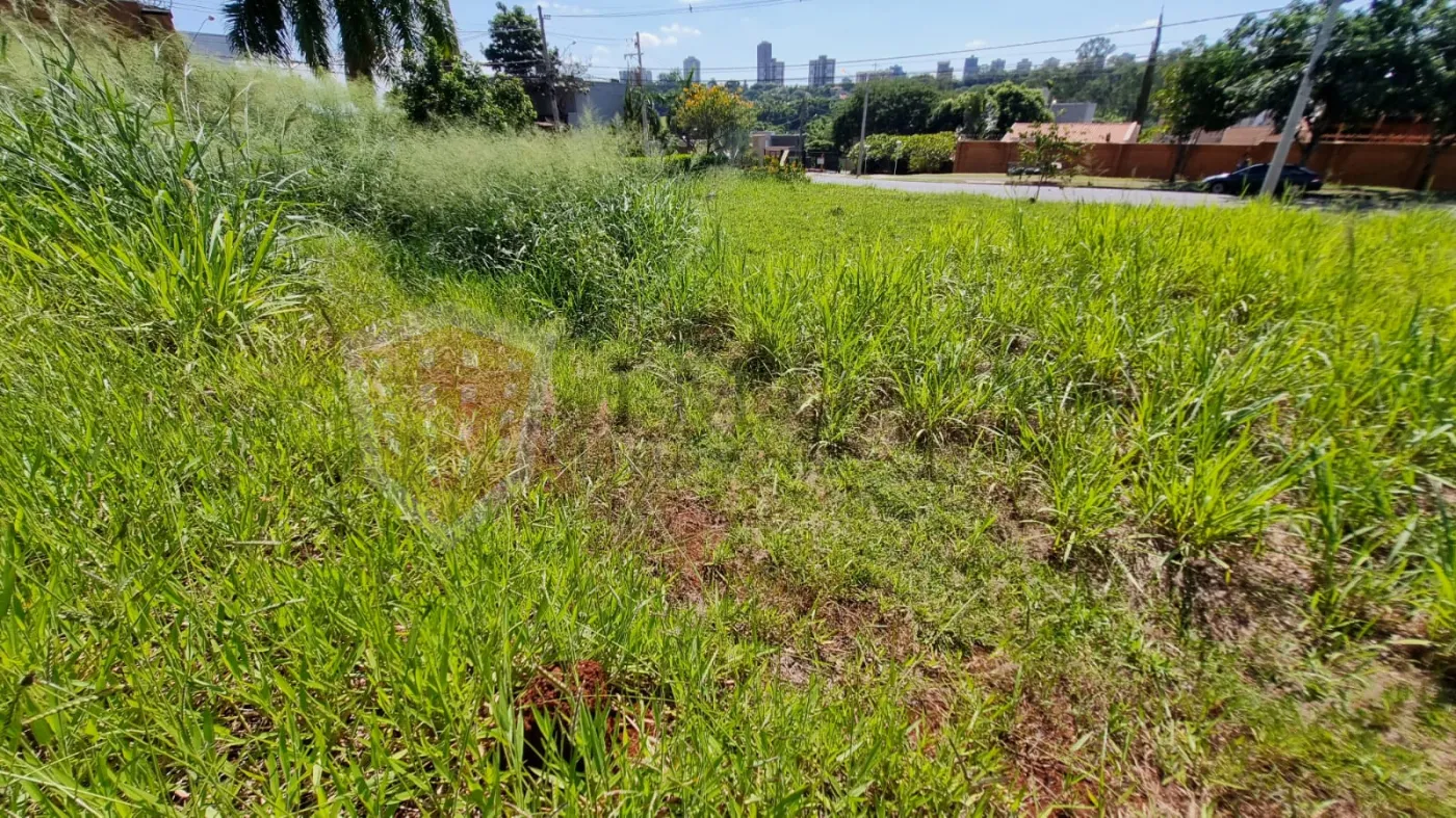 Alugar Terreno / Padr&atilde;o em Bonfim Paulista (Ribeir&atilde;o Preto) R$ 2.200,00 - Foto 4