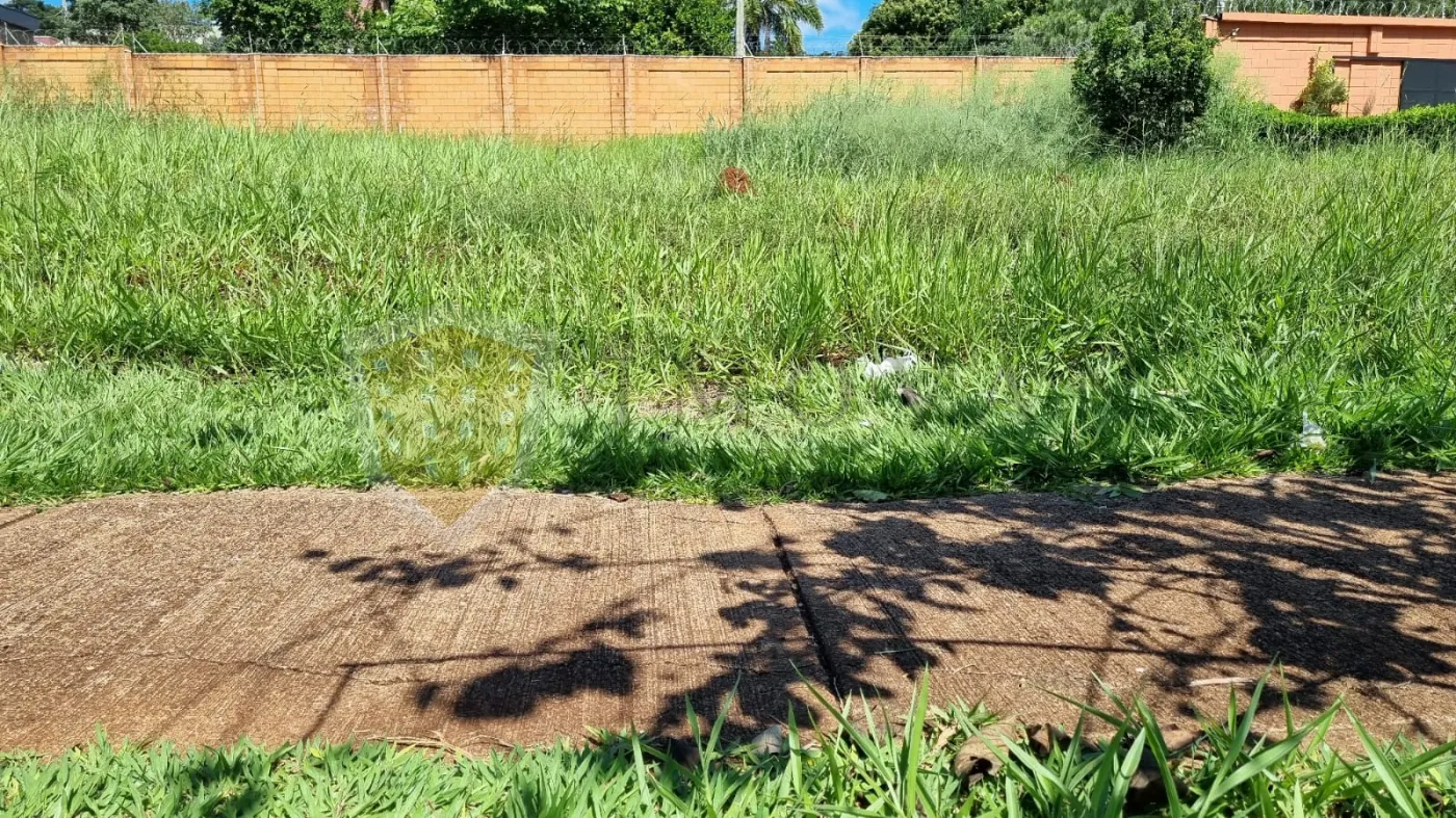 Alugar Terreno / Padr&atilde;o em Bonfim Paulista (Ribeir&atilde;o Preto) R$ 2.200,00 - Foto 3