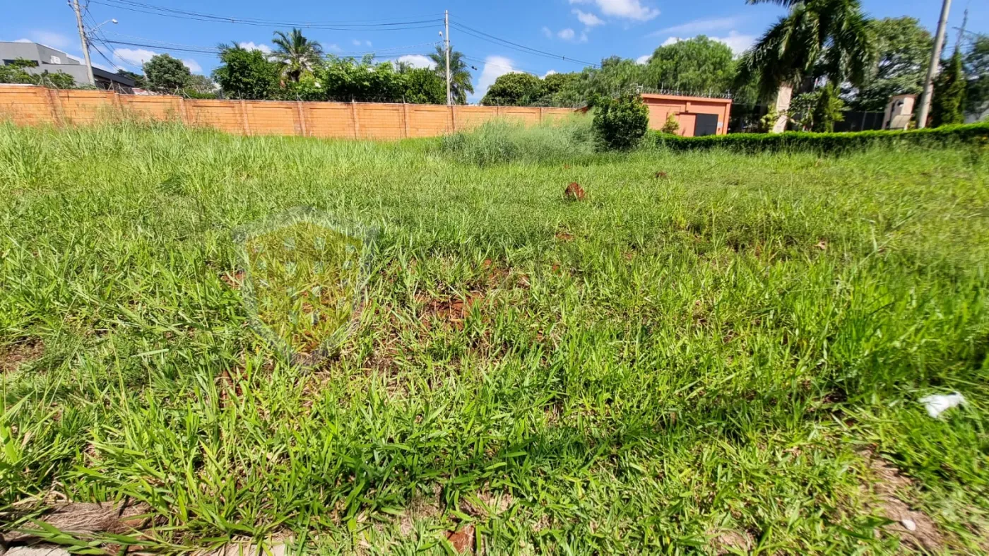 Alugar Terreno / Padr&atilde;o em Bonfim Paulista (Ribeir&atilde;o Preto) R$ 2.200,00 - Foto 2
