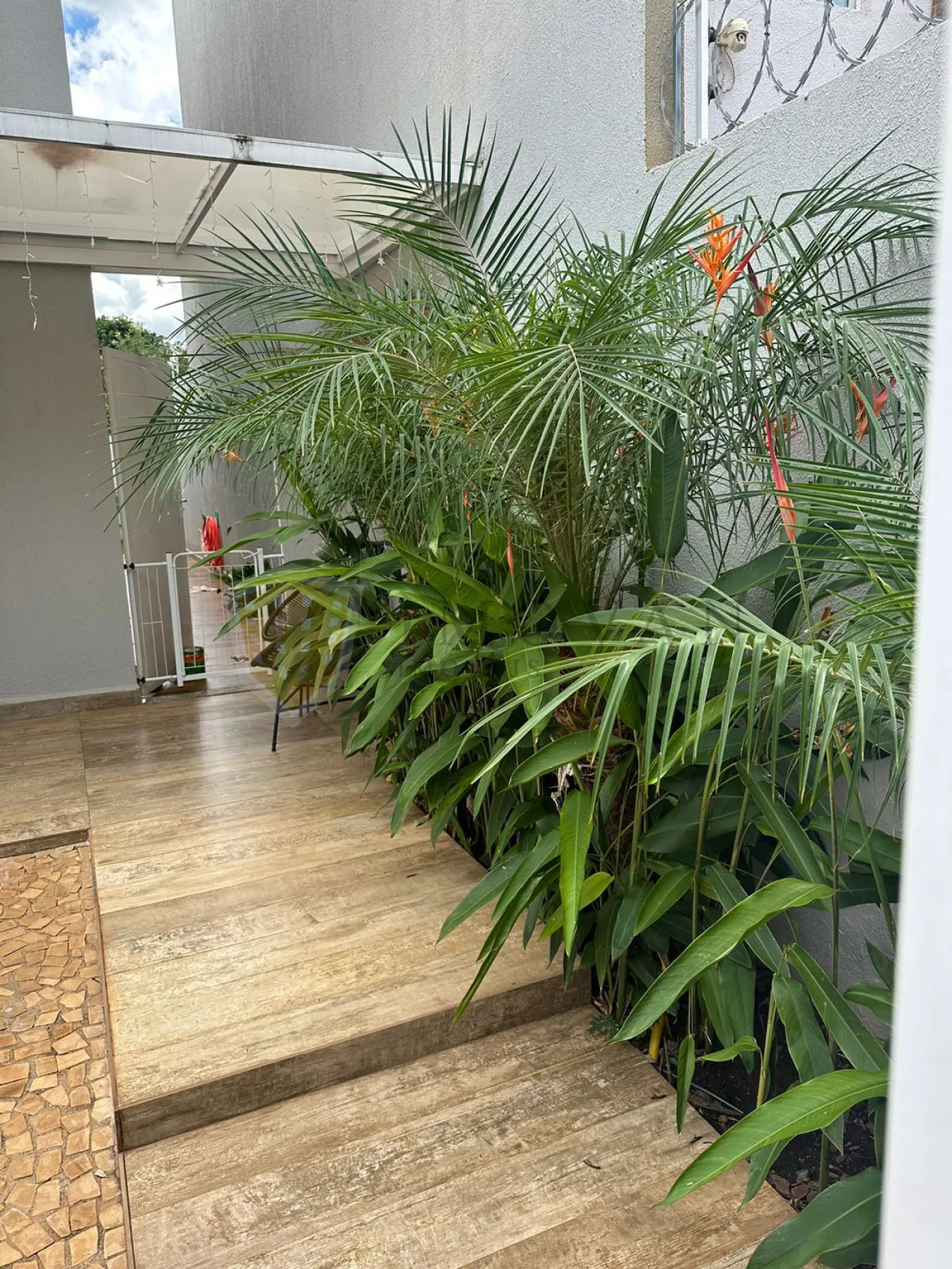 Comprar Casa / Padr&atilde;o em Bonfim Paulista (Ribeir&atilde;o Preto) R$ 640.000,00 - Foto 1