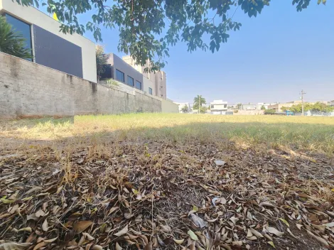 Ribeirao Preto Jardim Nova Alianca Terreno Venda R$1.865.000,00  Area do terreno 746.17m2 