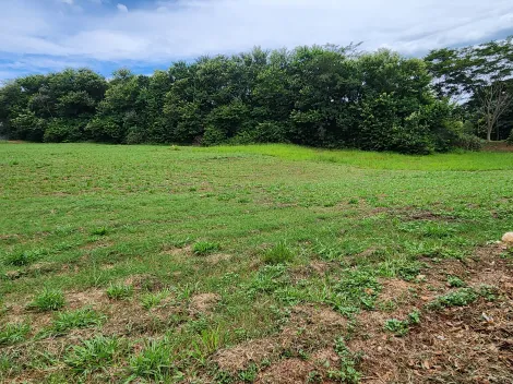 Ribeirao Preto Condominios Zona Sul Terreno Venda R$6.077.000,00  Area do terreno 1573.02m2 