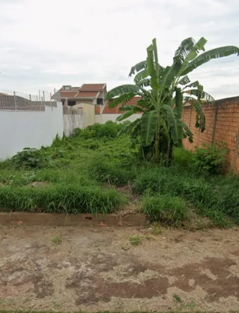 Ribeirao Preto Jardim Ana Maria Terreno Venda R$380.000,00  Area do terreno 383.25m2 