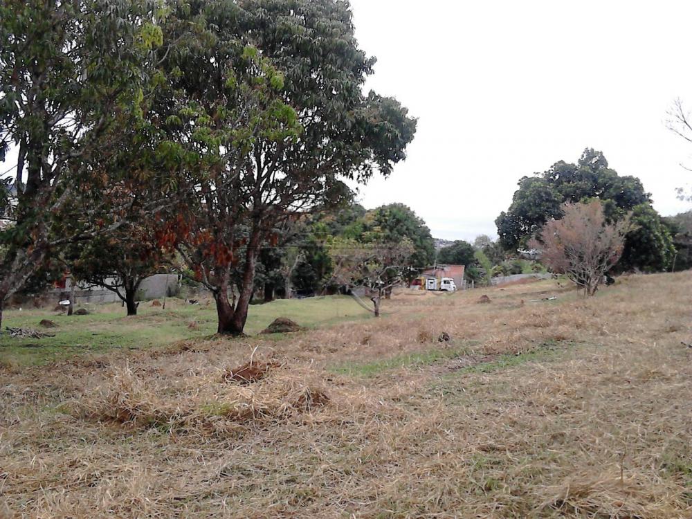 Foto 3 de Terreno Padrão em Jardim Santa Hermínia, São José dos Campos - imagem 3 Foto 3 de Terreno Padrão em Jardim Santa Hermínia, São José dos Campos - imagem 3