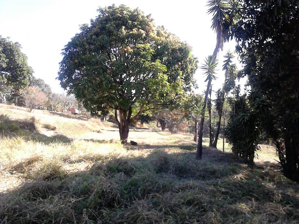 Foto 2 de Terreno Padrão em Jardim Santa Hermínia, São José dos Campos - imagem 2 Foto 2 de Terreno Padrão em Jardim Santa Hermínia, São José dos Campos - imagem 2
