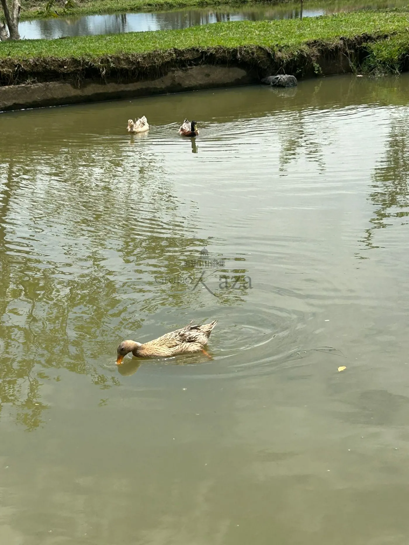 Foto 32 de Rural Chácara em Cajuru, São José dos Campos - imagem 32