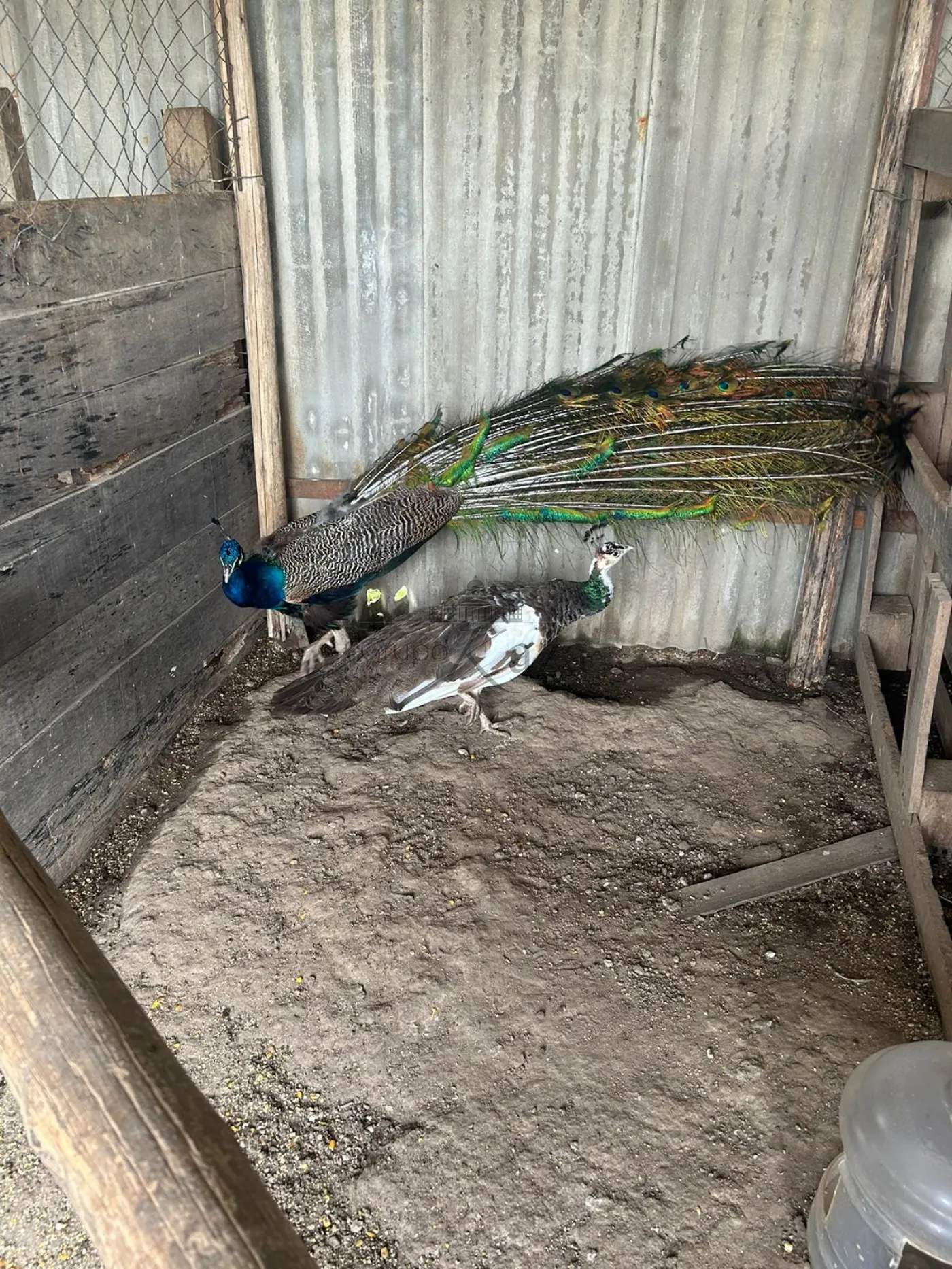 Foto 19 de Rural Chácara em Cajuru, São José dos Campos - imagem 19