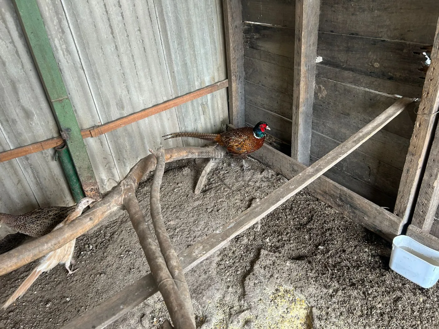 Foto 24 de Rural Chácara em Cajuru, São José dos Campos - imagem 24