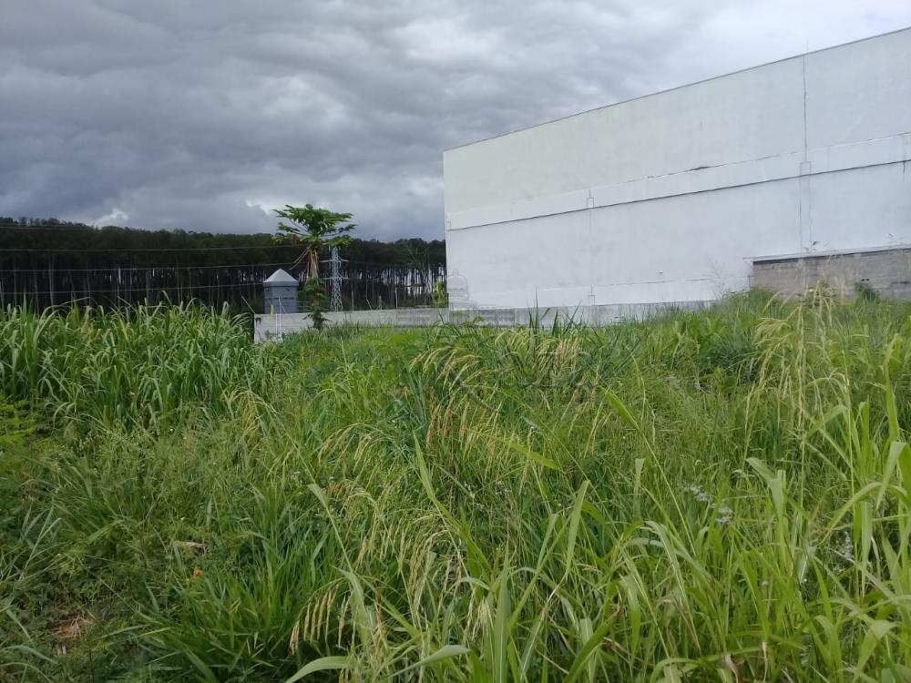 Foto 2 de Área Comercial em Chácaras Reunidas, São José dos Campos - imagem 2 Foto 2 de Área Comercial em Chácaras Reunidas, São José dos Campos - imagem 2