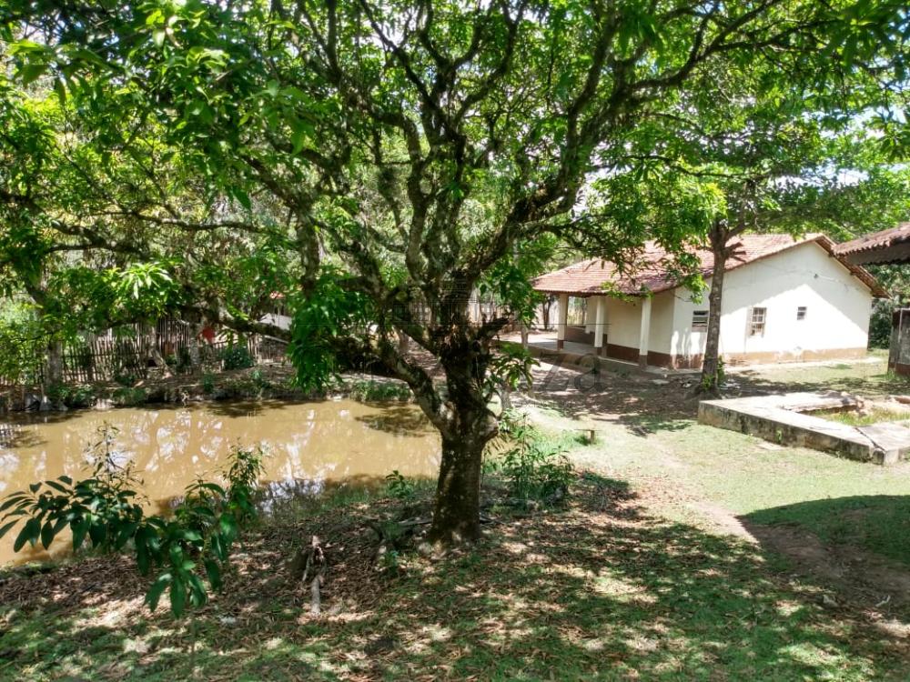 Foto 15 de Rural Chácara em Bom Retiro, São José dos Campos - imagem 15