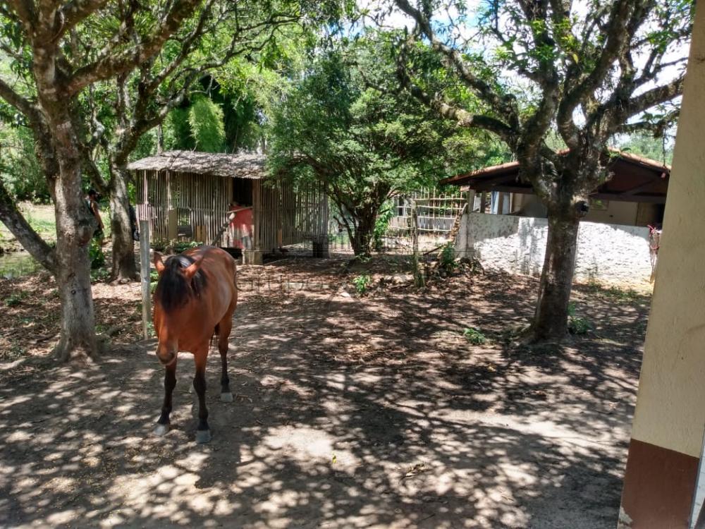 Foto 6 de Rural Chácara em Bom Retiro, São José dos Campos - imagem 6