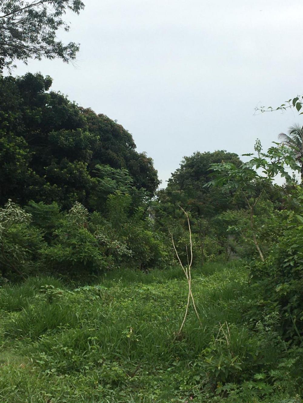 Foto 3 de Área Comercial em Chácaras Santa Maria, Jacareí - imagem 3 Foto 3 de Área Comercial em Chácaras Santa Maria, Jacareí - imagem 3