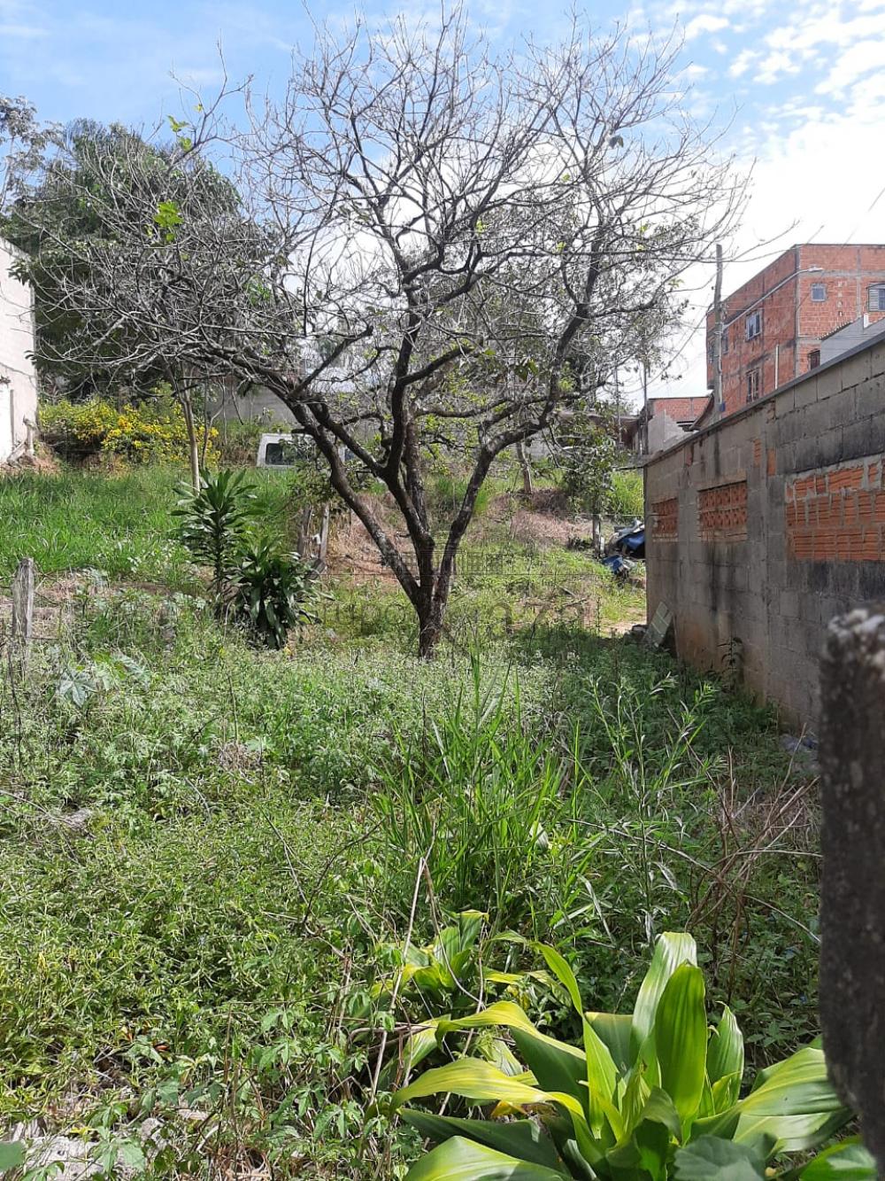Foto 1 de Terreno Padrão em Jardim Santa Hermínia, São José dos Campos - imagem 1 Foto 1 de Terreno Padrão em Jardim Santa Hermínia, São José dos Campos - imagem 1
