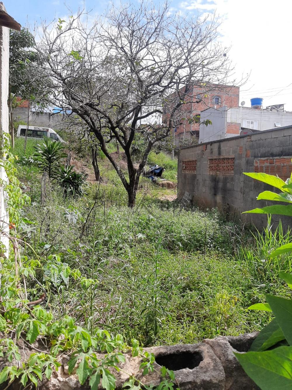 Foto 3 de Terreno Padrão em Jardim Santa Hermínia, São José dos Campos - imagem 3 Foto 3 de Terreno Padrão em Jardim Santa Hermínia, São José dos Campos - imagem 3