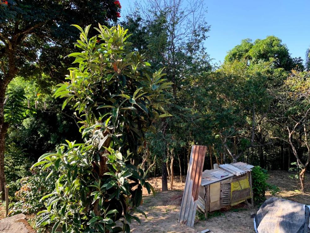 Foto 3 de Rural Chácara em Estância Porto Velho, Jacareí - imagem 3 Foto 3 de Rural Chácara em Estância Porto Velho, Jacareí - imagem 3