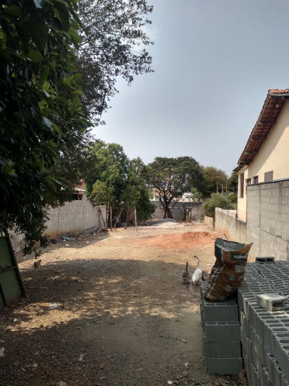 Foto 2 de Terreno Padrão em Jardim Santa Hermínia, São José dos Campos - imagem 2 Foto 2 de Terreno Padrão em Jardim Santa Hermínia, São José dos Campos - imagem 2