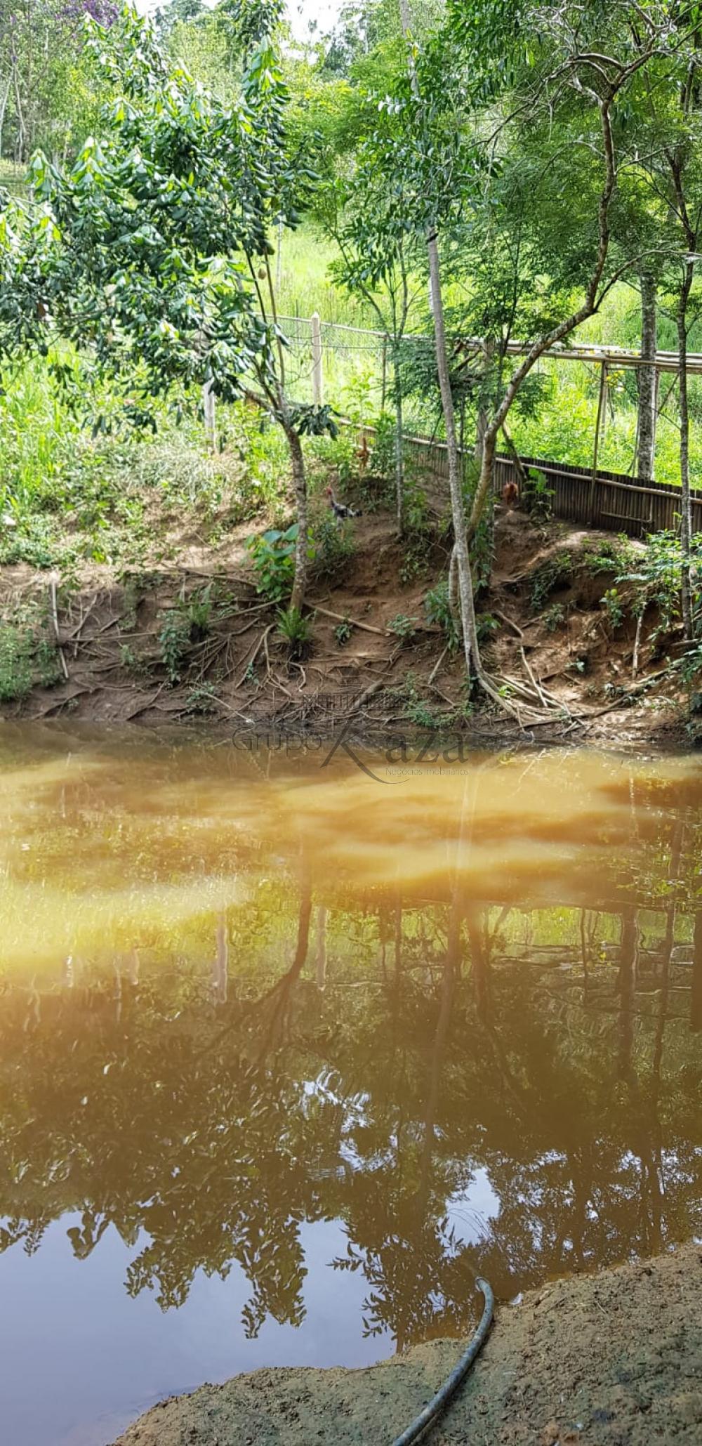 Foto 3 de Rural Chácara em São Francisco Xavier, São José dos Campos - imagem 3 Foto 3 de Rural Chácara em São Francisco Xavier, São José dos Campos - imagem 3