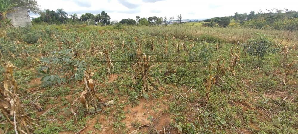 São José dos Campos Área Venda R$750.000,00  Area do terreno 3710.98m2  - foto 2