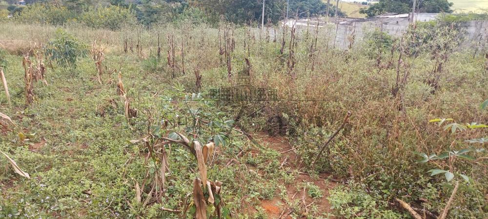 São José dos Campos Área Venda R$750.000,00  Area do terreno 3710.98m2  - foto 3