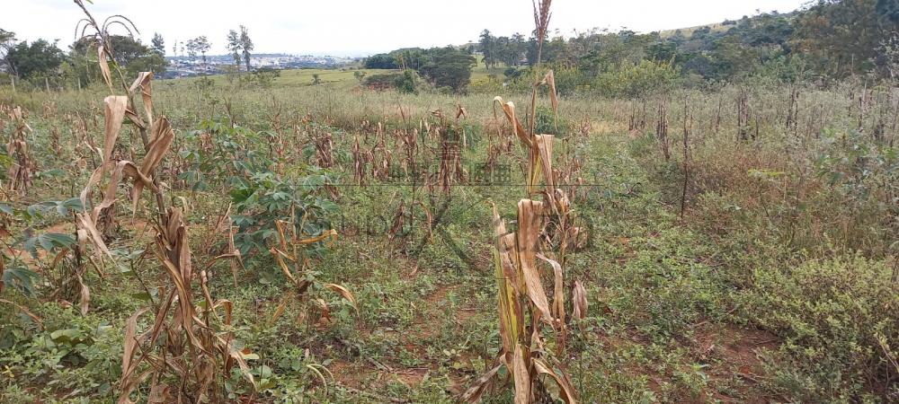 São José dos Campos Área Venda R$750.000,00  Area do terreno 3710.98m2  - foto 4