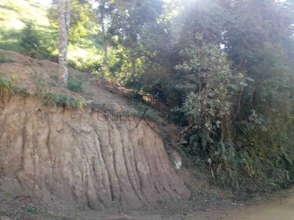 Foto 2 de Rural sem benfeitorias Área sem benfeitorias em Jardim Colonia, Jacareí - imagem 2 Foto 2 de Rural sem benfeitorias Área sem benfeitorias em Jardim Colonia, Jacareí - imagem 2