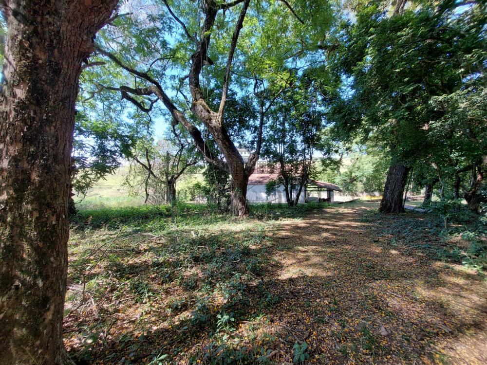 Foto 7 de Área Residencial em Jardim Colonia, Jacareí - imagem 7