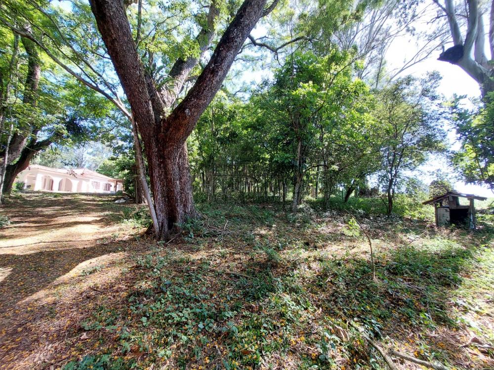 Foto 8 de Área Residencial em Jardim Colonia, Jacareí - imagem 8