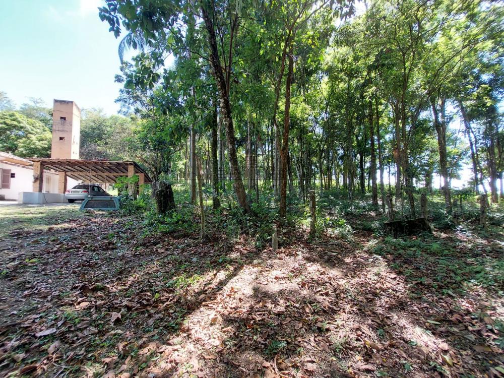 Foto 3 de Área Residencial em Jardim Colonia, Jacareí - imagem 3