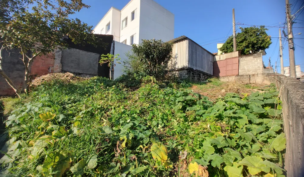 Foto 3 de Terreno Padrão em Jardim Bela Vista, Jacareí - imagem 3 Foto 3 de Terreno Padrão em Jardim Bela Vista, Jacareí - imagem 3