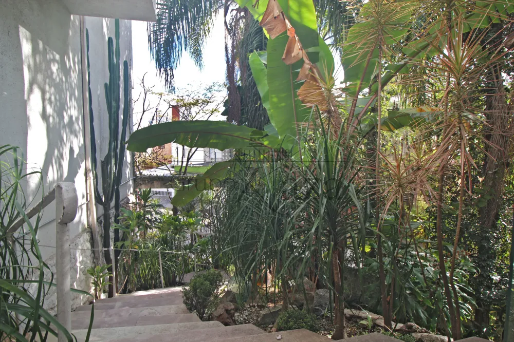 Foto 24 de Casa Padrão em Vila Mariana, São Paulo - imagem 24
