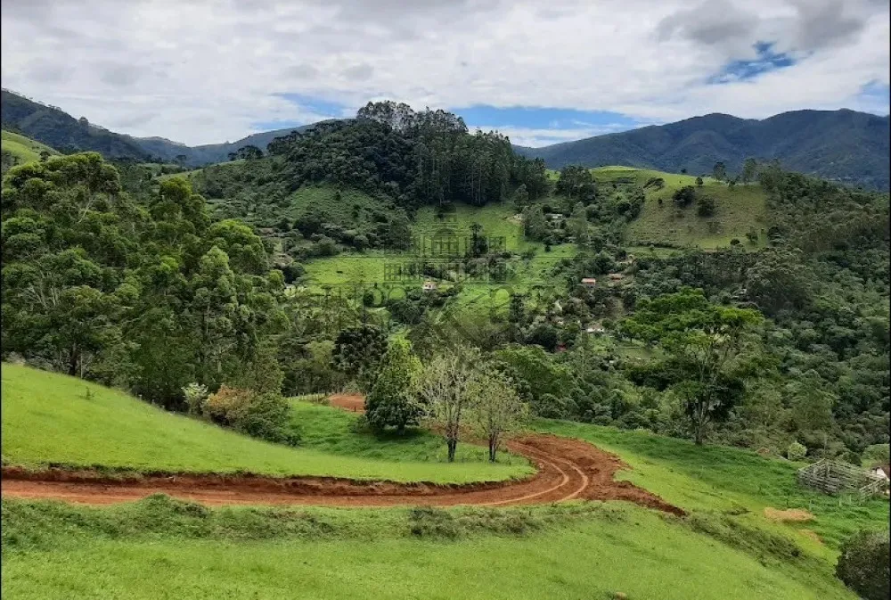 Foto 2 de Rural sem benfeitorias Área sem benfeitorias em São Francisco Xavier, São José dos Campos - imagem 2 Foto 2 de Rural sem benfeitorias Área sem benfeitorias em São Francisco Xavier, São José dos Campos - imagem 2