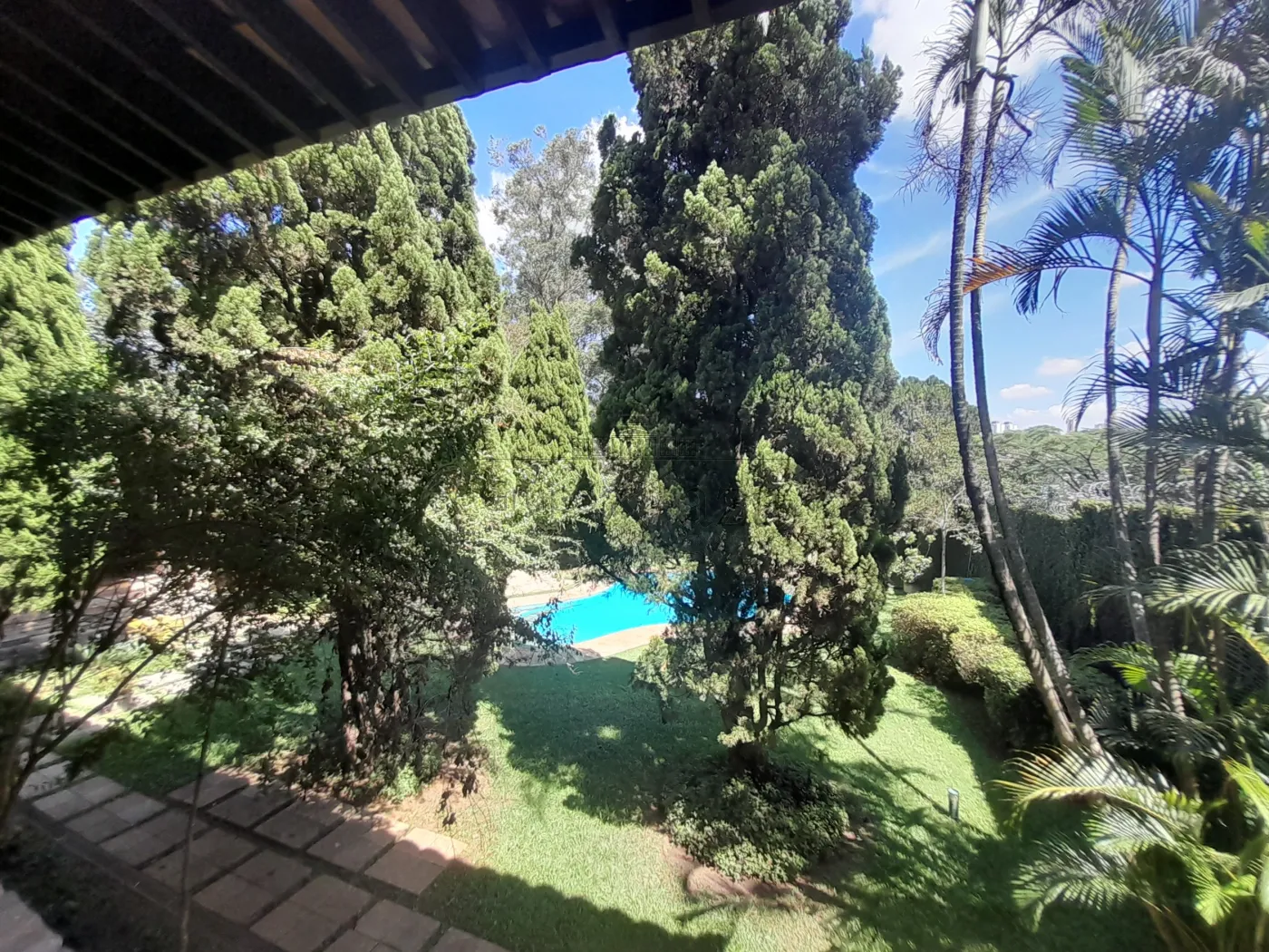 Foto 37 de Casa Padrão em Morumbi, São Paulo - imagem 37