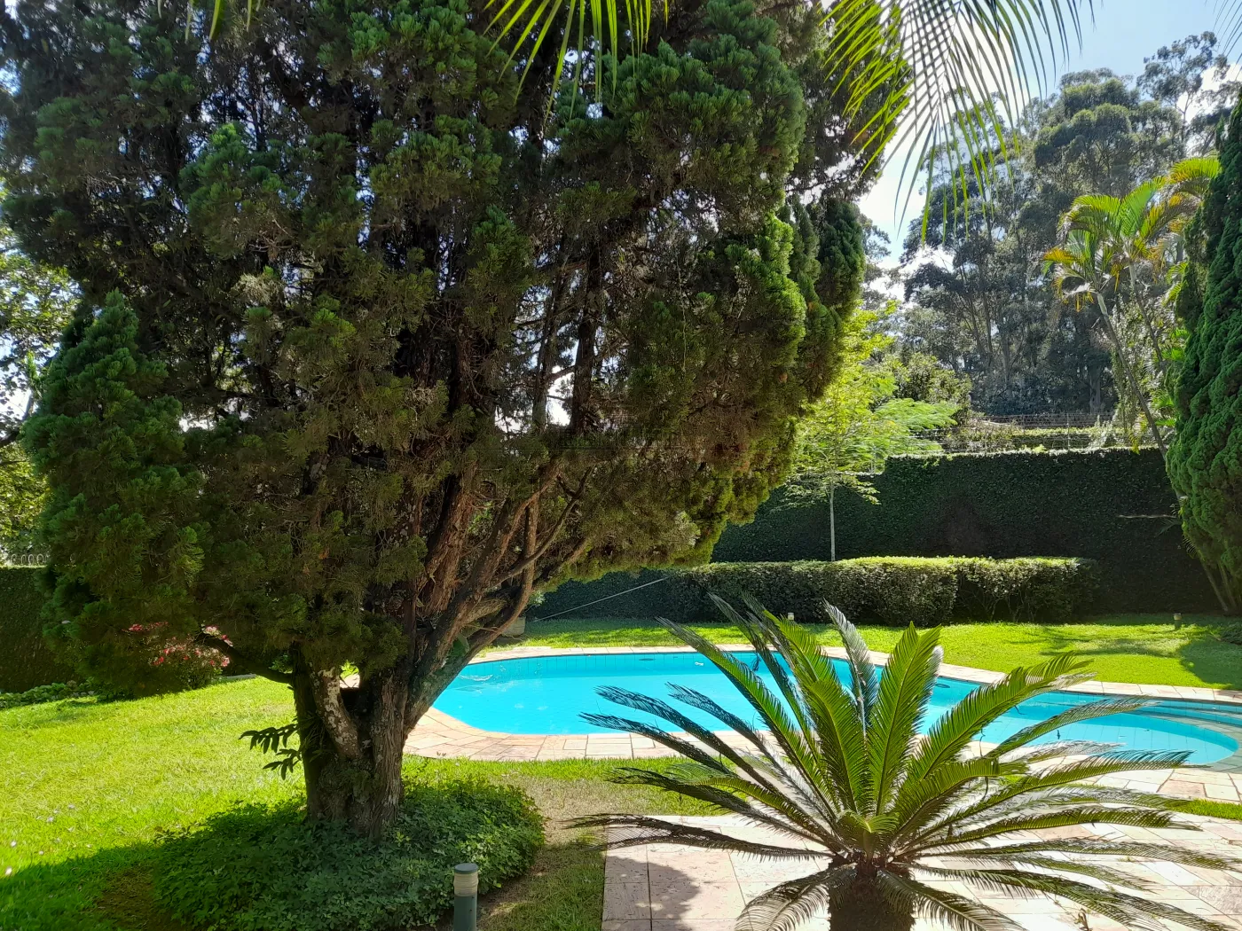 Foto 39 de Casa Padrão em Morumbi, São Paulo - imagem 39