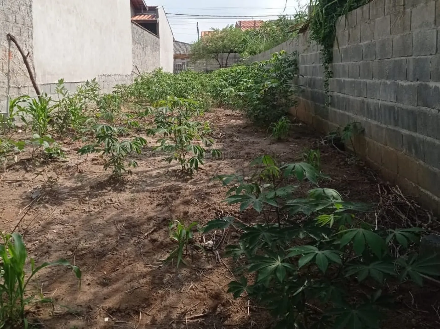 Foto 3 de Terreno Padrão em Residencial Armando Moreira Righi, São José dos Campos - imagem 3 Foto 3 de Terreno Padrão em Residencial Armando Moreira Righi, São José dos Campos - imagem 3