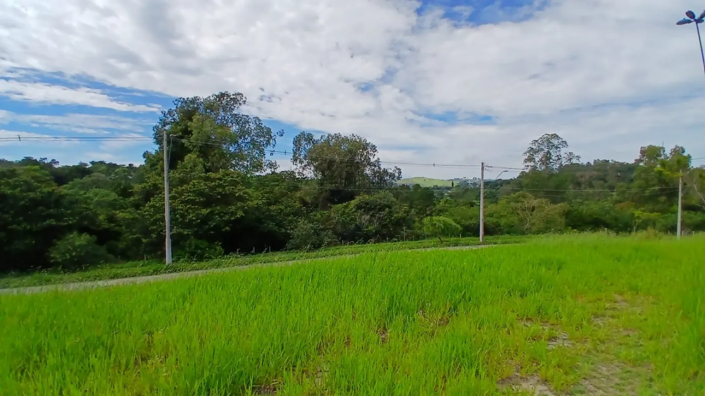 Foto 3 de Terreno Comercial em Terra Brasilis, São José dos Campos - imagem 3 Foto 3 de Terreno Comercial em Terra Brasilis, São José dos Campos - imagem 3
