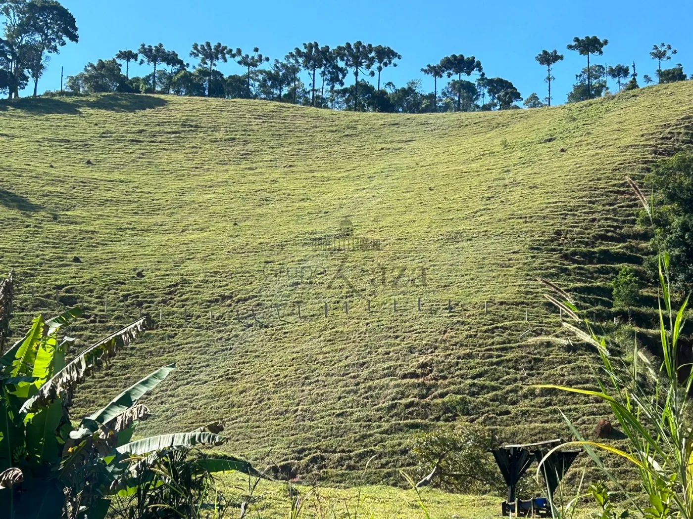 Foto 3 de Rural Fazenda em São Francisco Xavier, São José dos Campos - imagem 3 Foto 3 de Rural Fazenda em São Francisco Xavier, São José dos Campos - imagem 3