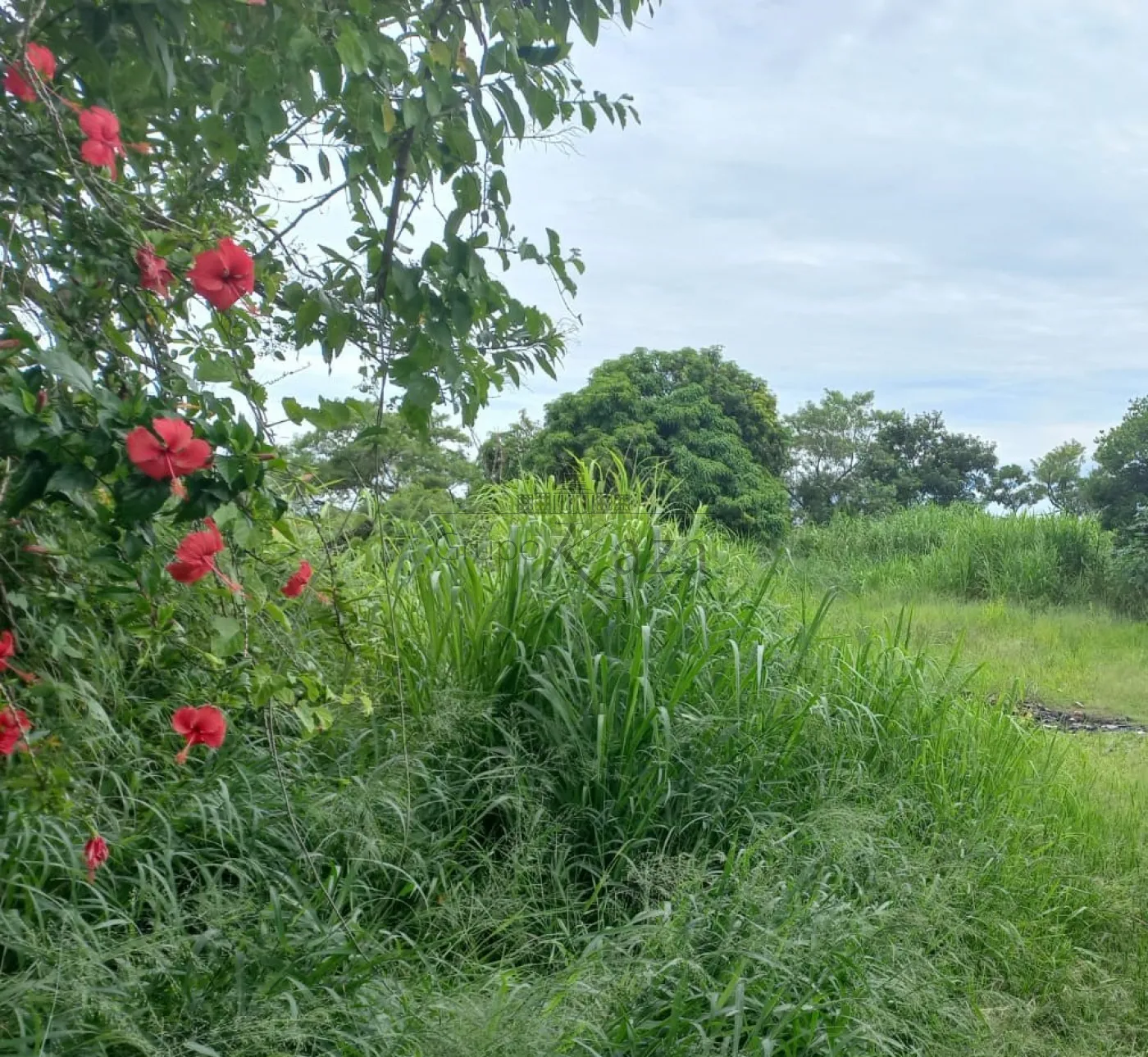 Foto 1 de Área ComercialResidencial em São João, Jacareí - imagem 1 Foto 1 de Área ComercialResidencial em São João, Jacareí - imagem 1