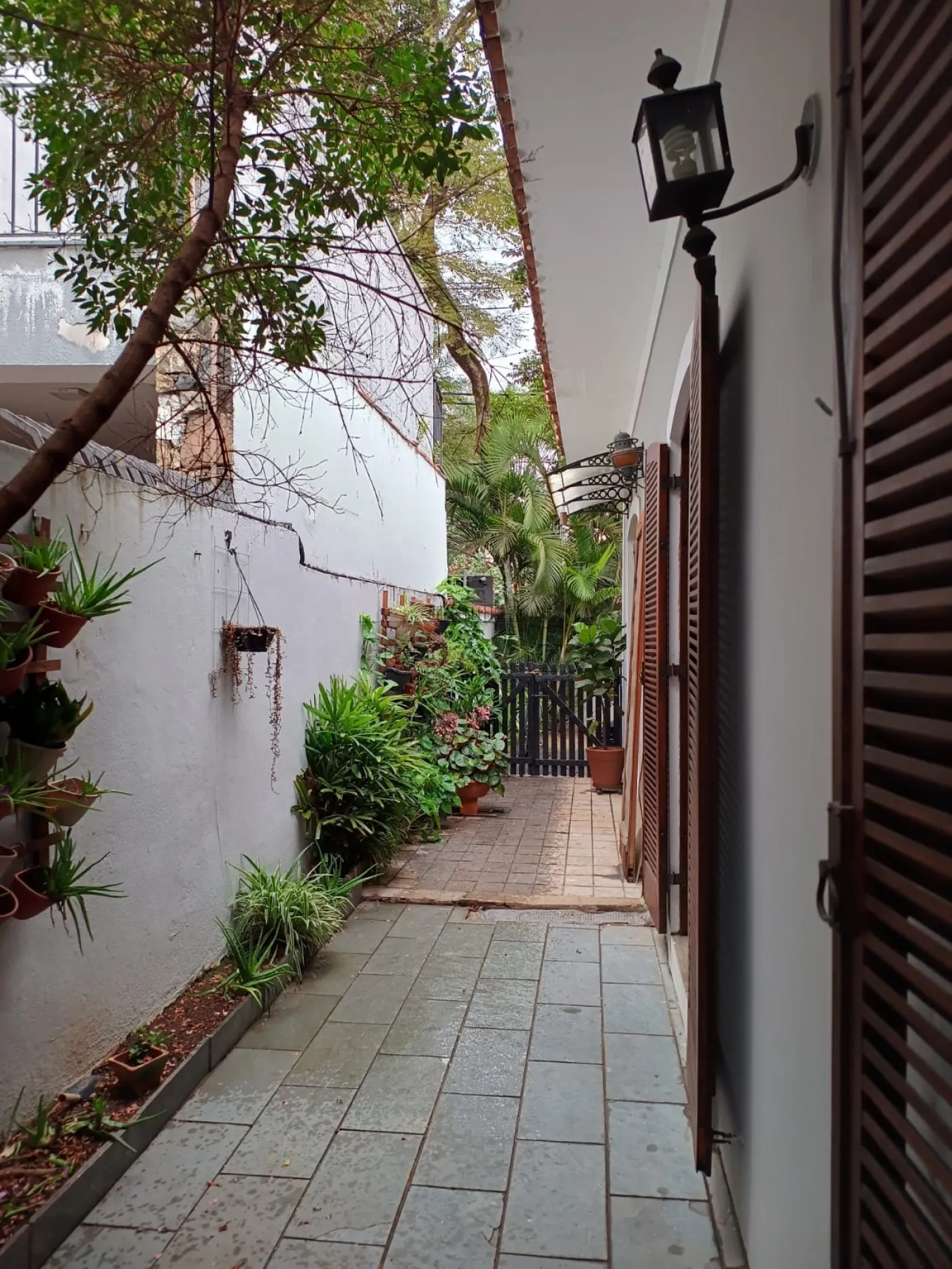 Foto 18 de Casa Térrea em Butantã, São Paulo - imagem 18