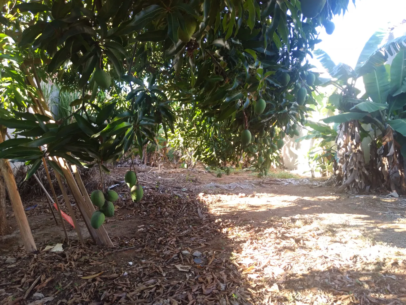 Foto 1 de Terreno Padrão em Jardim Cruzeiro do Sul, São José dos Campos - imagem 1 Foto 1 de Terreno Padrão em Jardim Cruzeiro do Sul, São José dos Campos - imagem 1