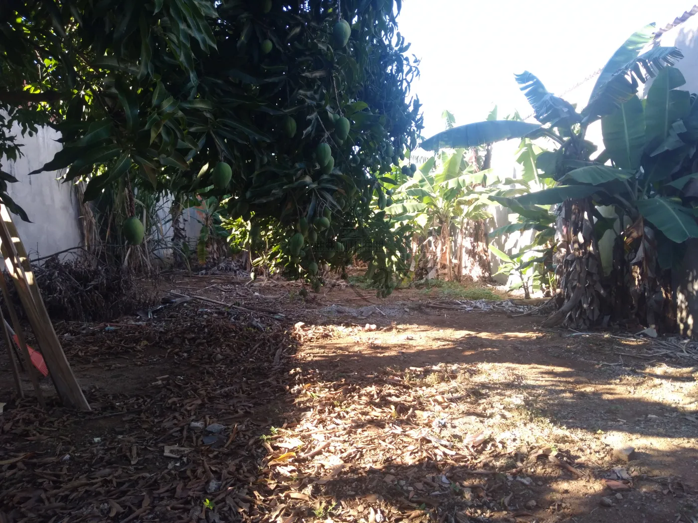 Foto 2 de Terreno Padrão em Jardim Cruzeiro do Sul, São José dos Campos - imagem 2 Foto 2 de Terreno Padrão em Jardim Cruzeiro do Sul, São José dos Campos - imagem 2