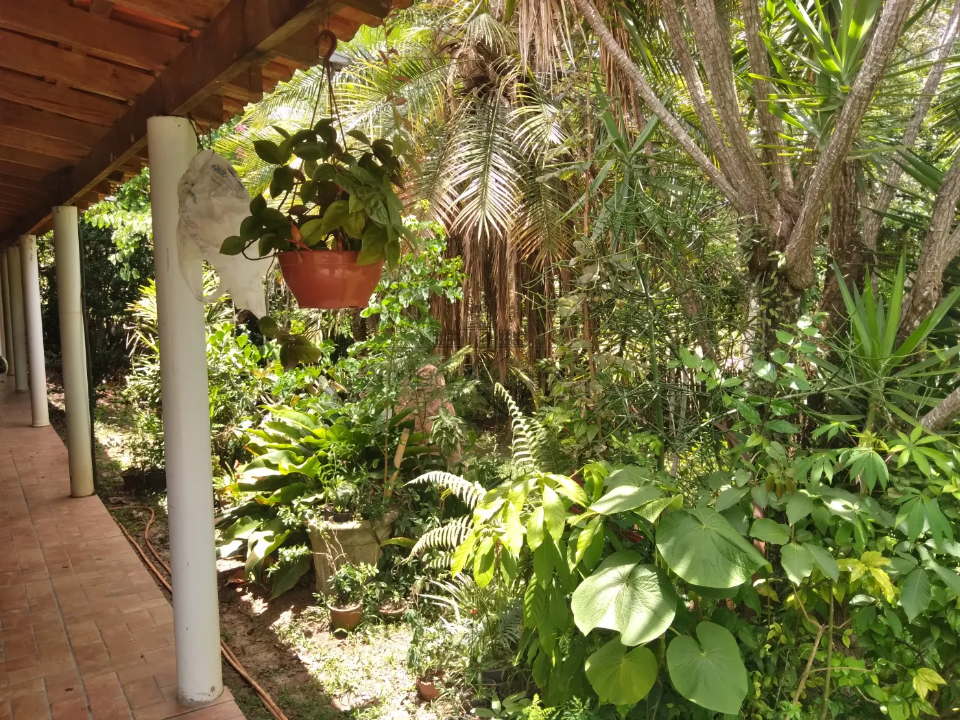 Foto 28 de Rural Chácara em Torrão de Ouro II, São José dos Campos - imagem 28