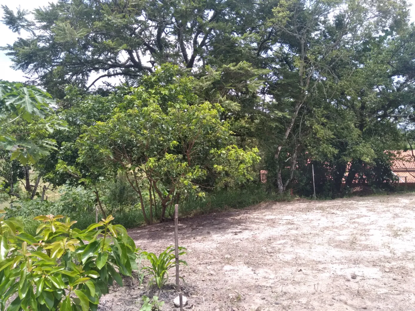 Foto 41 de Rural Chácara em Torrão de Ouro II, São José dos Campos - imagem 41